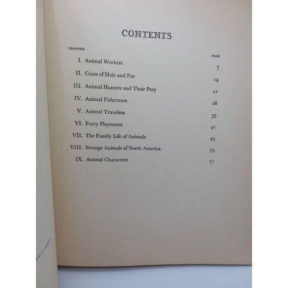 1934 Homes and Habits of Wild Animals Walter Weber Illustrations Children's Book - Picture 9 of 16